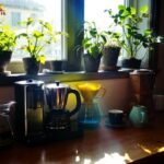 Type de cafetière : guide complet pour bien choisir